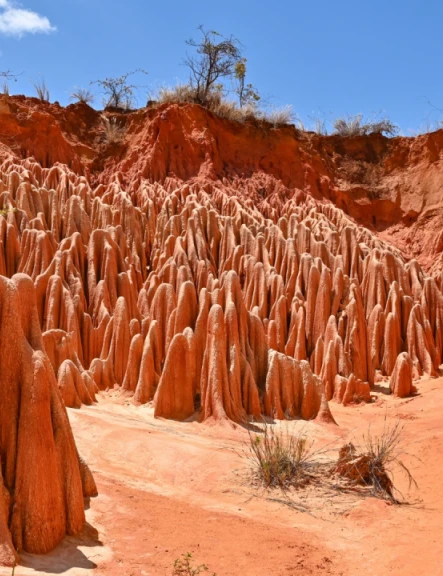 Image madagascar-nordul-insulei-rosii-nosy-be-6220